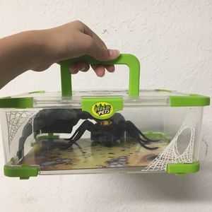 Wild Spider Toy!!